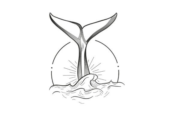 Whale Tail Outline: A Designer’s Honest Review